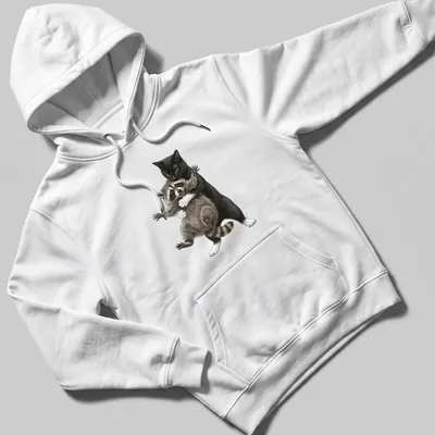 Realistic illustration of a black cat hugging a raccoon among greenery — printed on a unisex hoodie