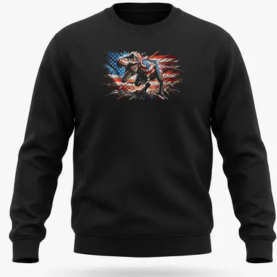 Distressed T-Rex graphic with American flag elements, celebrating July 4th — printed on a unisex sweatshirt