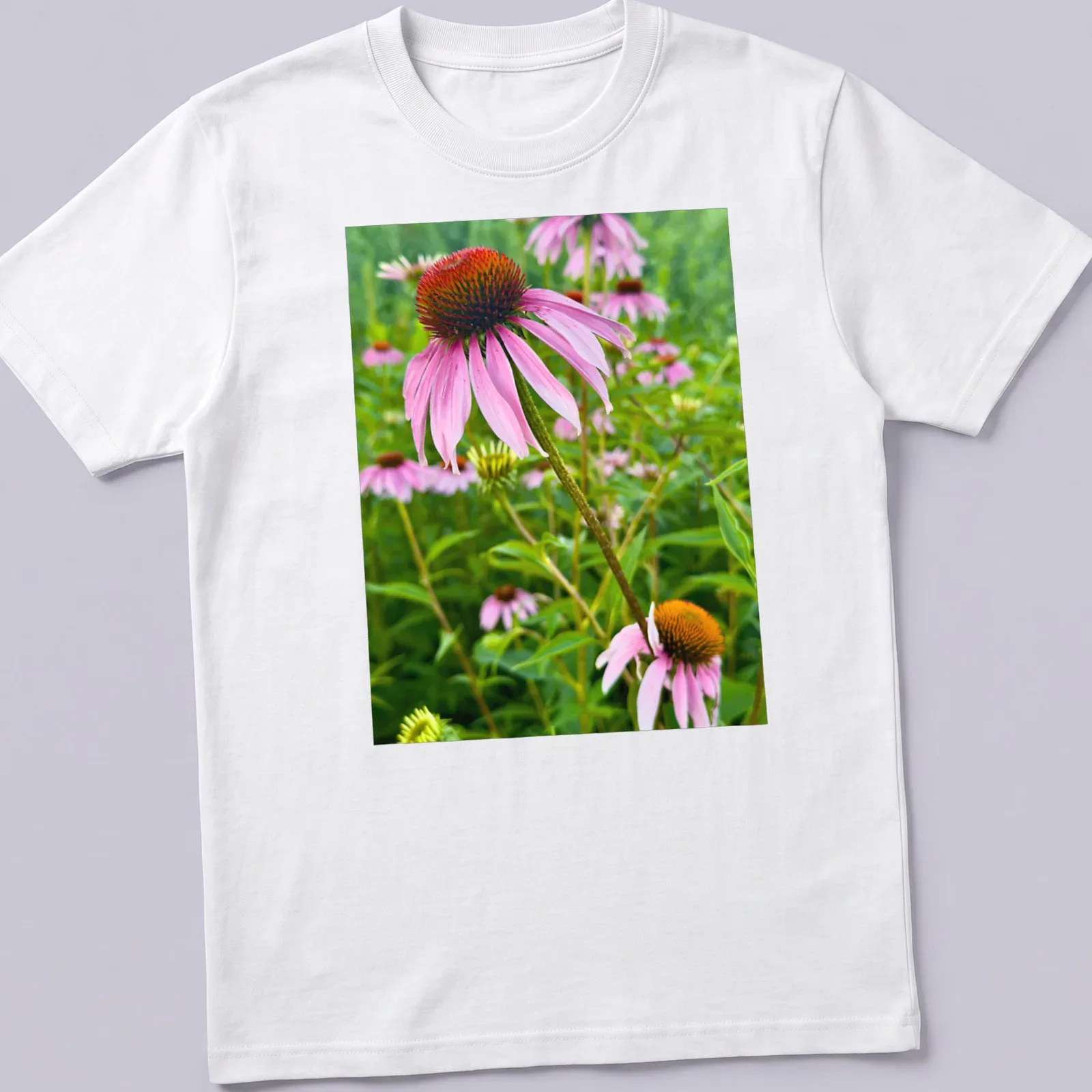 Photographic print of pink and purple coneflowers with text Echinacea In Bloom — printed on a unisex t-shirt