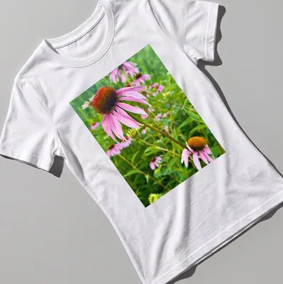 Photographic print of pink and purple coneflowers with text Echinacea In Bloom — printed on a women's shirt