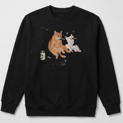 Vintage meme style t-shirt featuring an orange tabby cat smoking and drinking beer — printed on a unisex sweatshirt