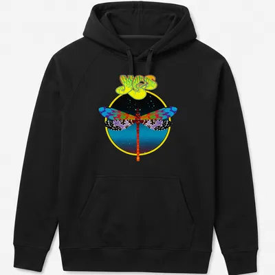 Psychedelic dragonfly T-shirt with colorful printed text and lively design — printed on a unisex hoodie