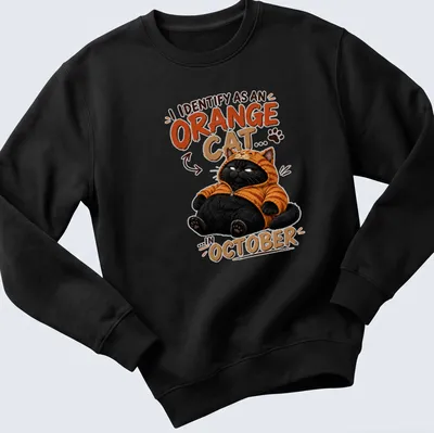 Cartoon black cat in a tiger hoodie with humorous text for cat lovers — printed on a unisex sweatshirt