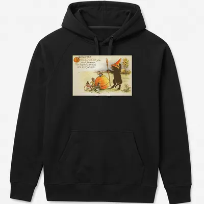 Vintage illustration of a black cat in a witch hat surrounded by mice with Halloween text — printed on a unisex hoodie