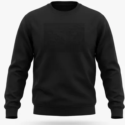 Engraving of an Arctic shipwreck scene in black, white, and gray — printed on a unisex sweatshirt