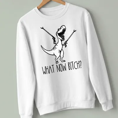 Cartoon T-Rex with bold text 'WHAT NOW BITCH?' in black and white — printed on a unisex sweatshirt