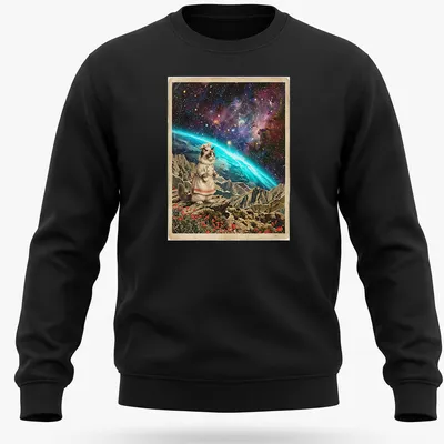 Vintage surrealism Ragdoll cat baker t-shirt with cosmic elements and vibrant colors — printed on a unisex sweatshirt